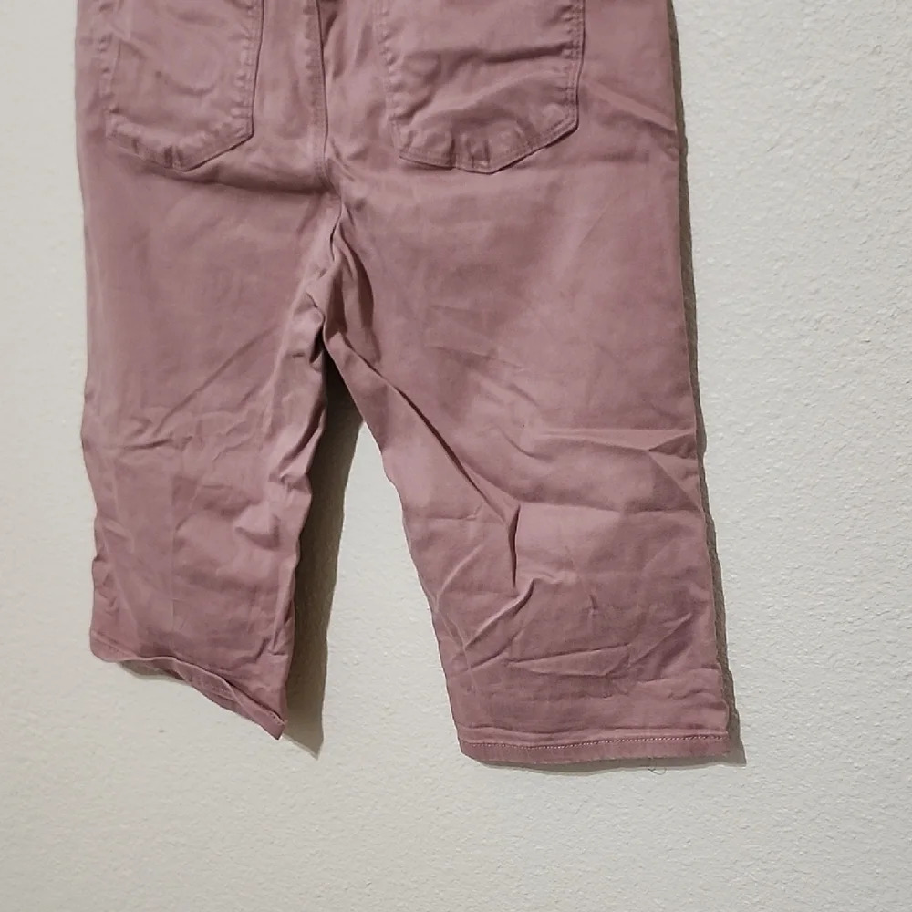 Buffalo David Bitton Pink Bermuda Shorts Classic Style - Picture 8 of 8